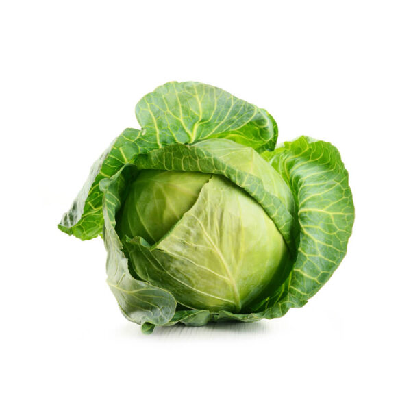 Green cabbage