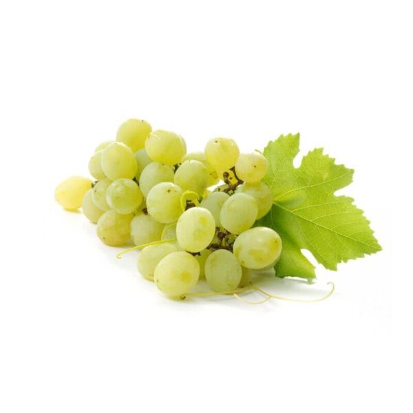 Green grape clipart